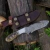 9.9" Damascus Steel Custom Handmade Horn Handle Hunting Gut Hook Knife